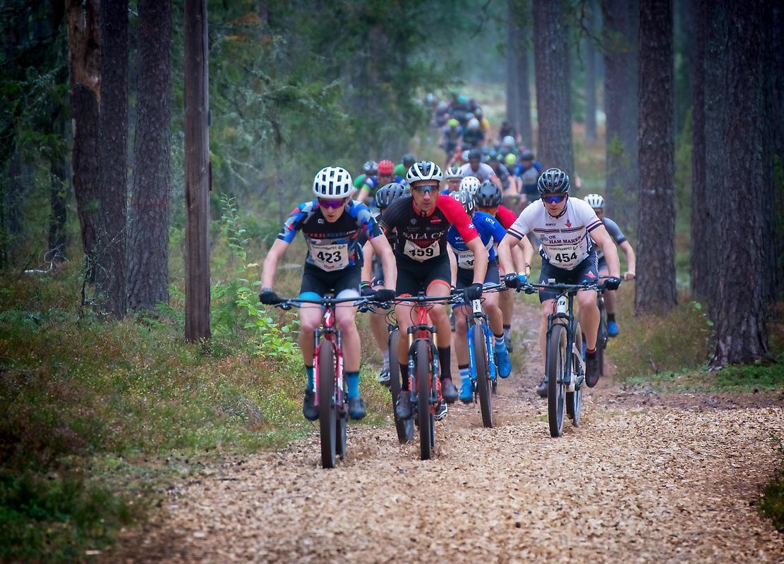 Deltagare i Tegeltrampet cyklar fram genom skogen.