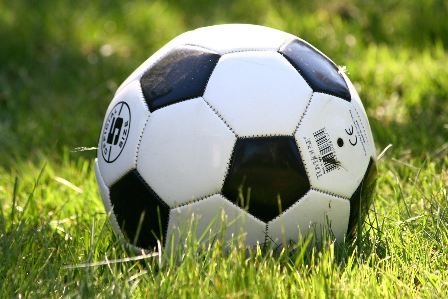 En fotboll ligger i grönt gräs i en solfläck. 