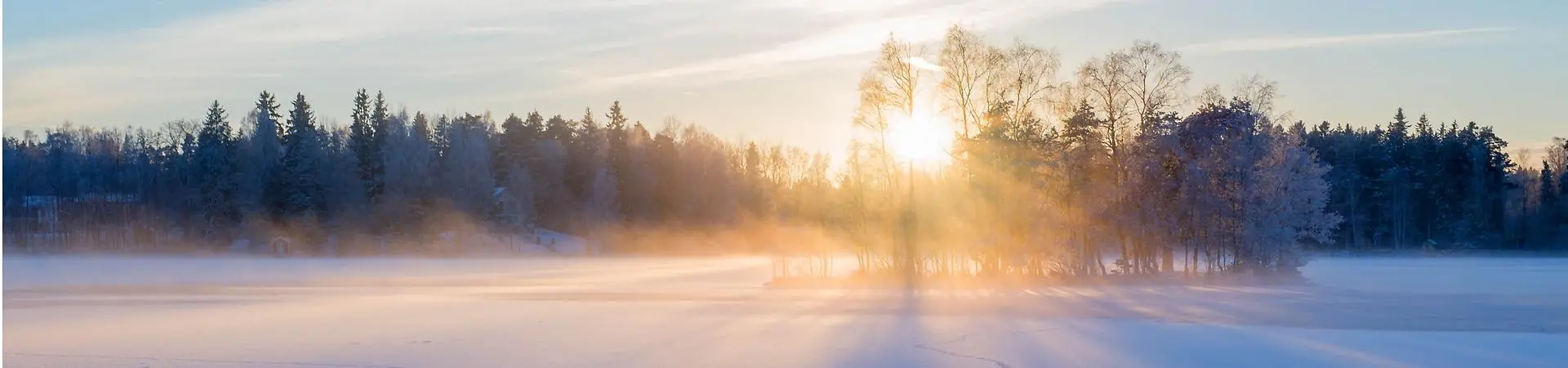 Vintersol silar genom träd, foto: Conny Sjöström