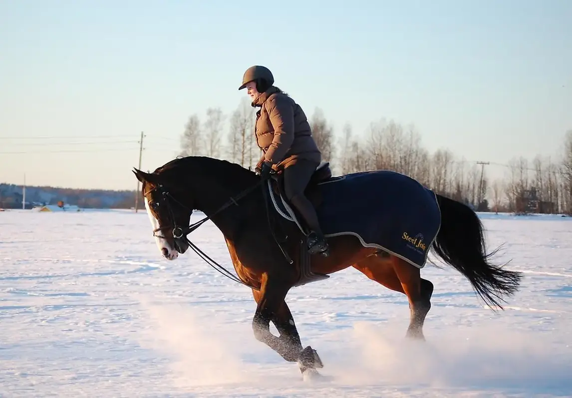 Tjej rider stor brun häst i vinterlandskap