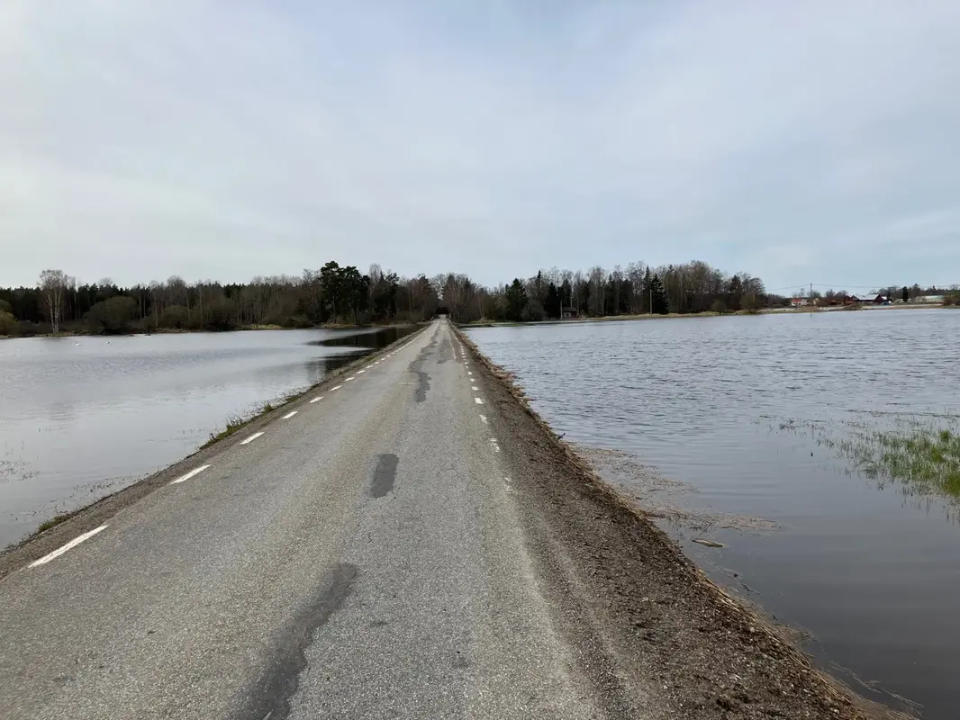 En bilväg omgiven av vatten. På båda sidor vägen står vattnet upp till vägkanten. Omgivningarna ska i normala fall vara åkermark.